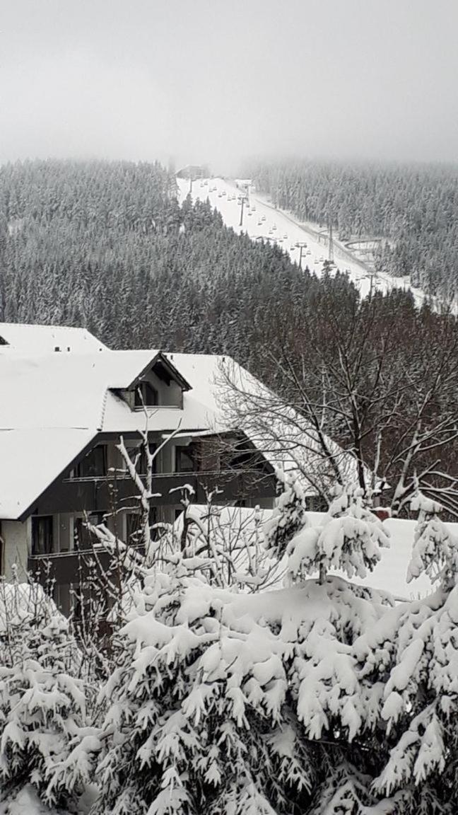 Ferienwohnung Steffens Hahnenklee Wohnung 25 Goslar Buitenkant foto
