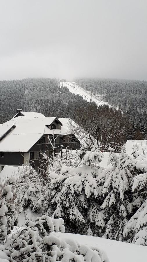 Ferienwohnung Steffens Hahnenklee Wohnung 25 Goslar Buitenkant foto